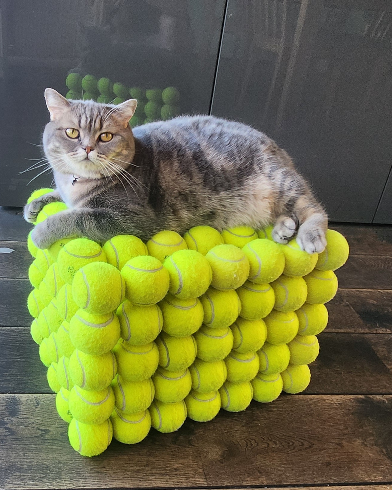 The557 - handmade pouf of 100% recycled tennis balls. Tested and approved by Charly